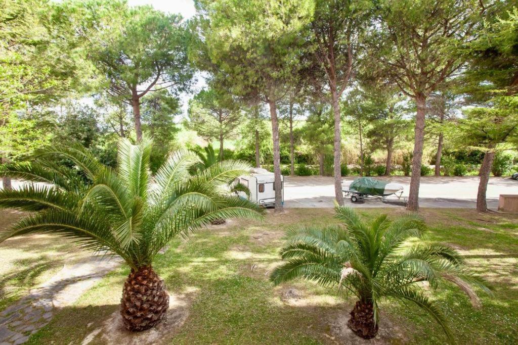 M257 - Marcelli, Bilocale In Residence Con Piscina Dış mekan fotoğraf